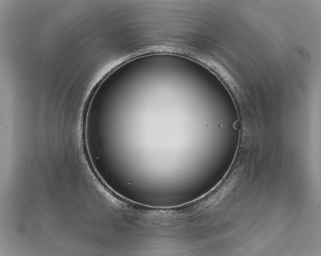 X0000112480902200908241252