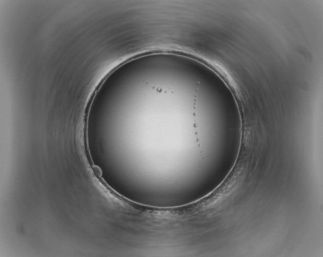 X0000112480903200908241252