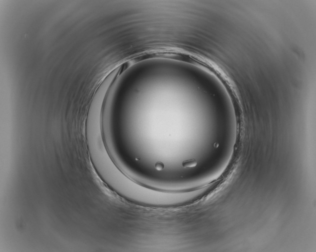 X0000112480905200908241252