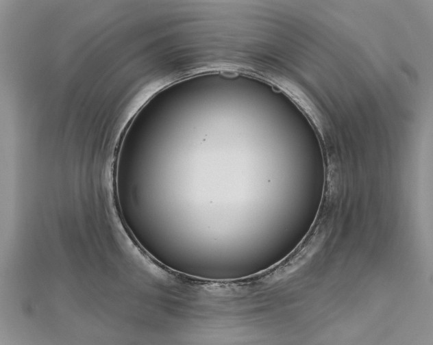 X0000112480906200908241252