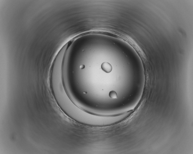 X0000112480908200908241252