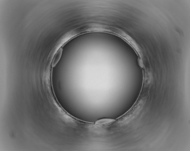 X0000112480909200908241252