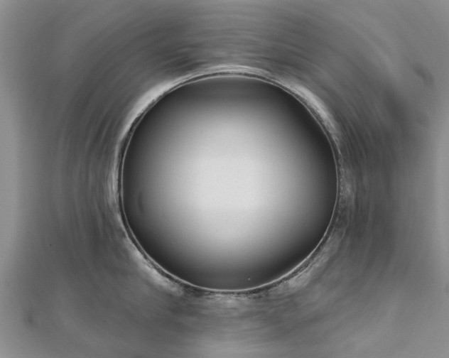 X0000112480910200908241252