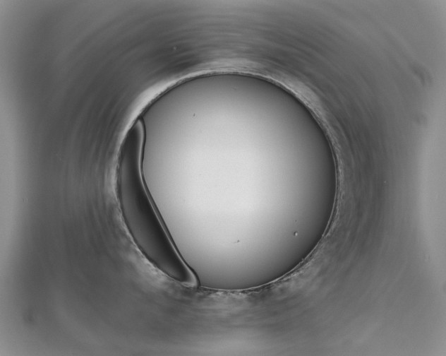 X0000112480912200908241252
