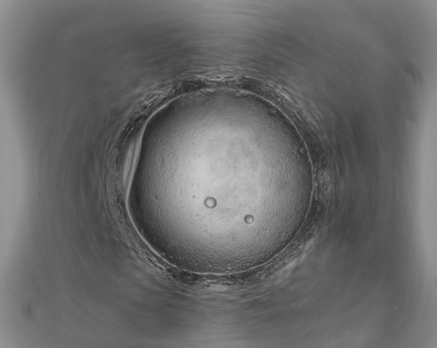 X0000112480913200908241251