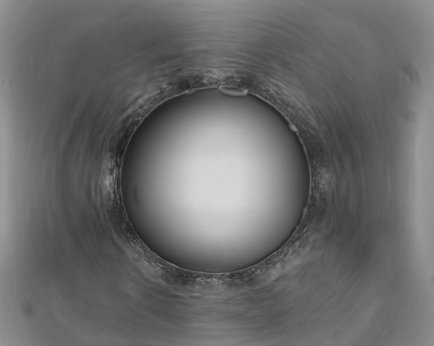 X0000112480914200908241251