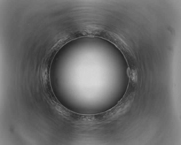 X0000112480915200908241251