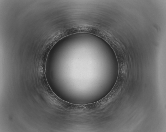 X0000112480916200908241251