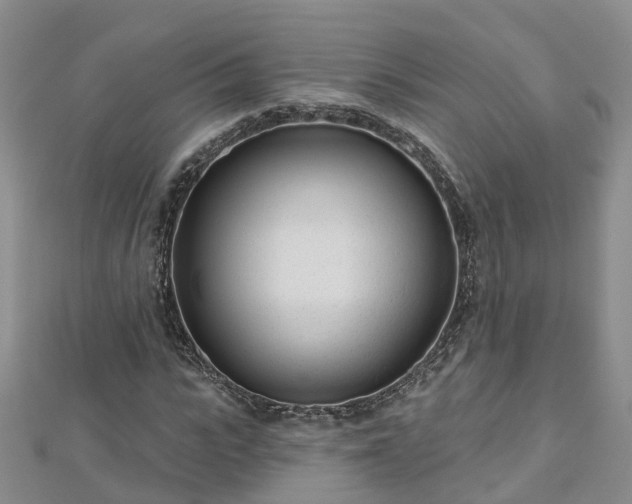 X0000112480919200908241251