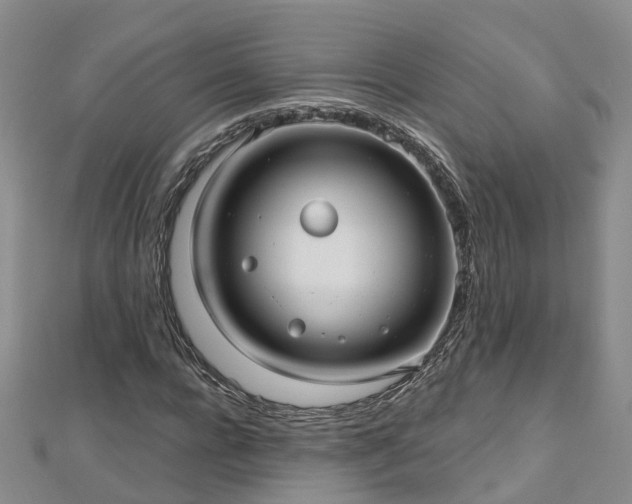 X0000112480920200908241251