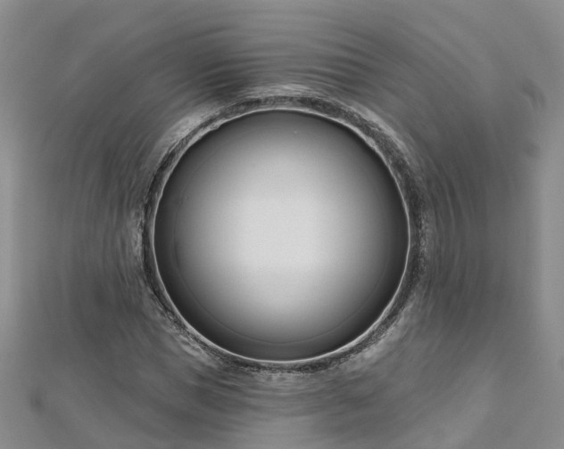 X0000112480921200908241251