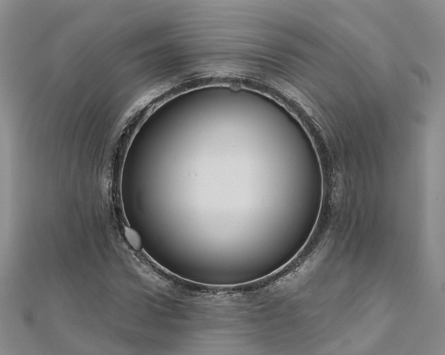X0000112480922200908241251