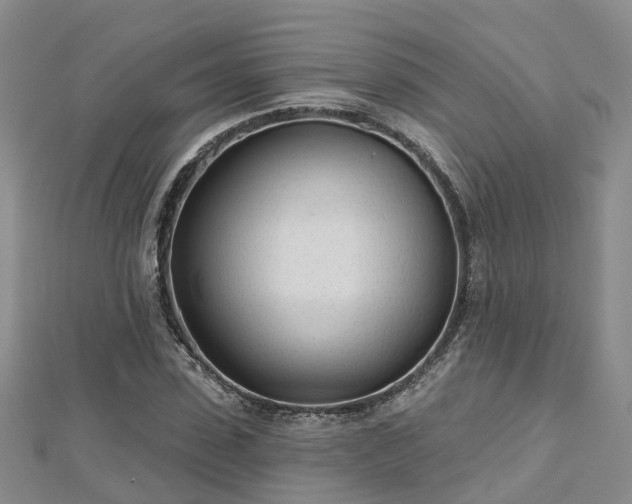 X0000112480923200908241251