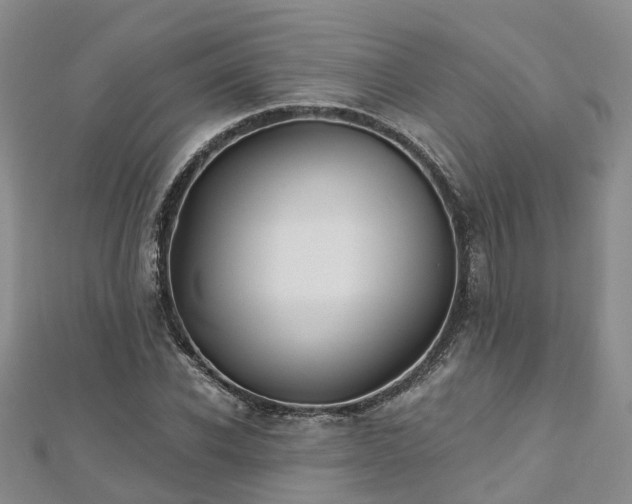 X0000112480926200908241251
