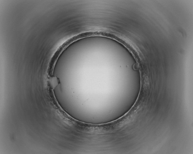 X0000112480927200908241251