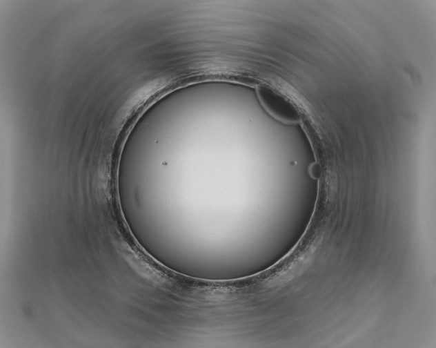 X0000112480930200908241251