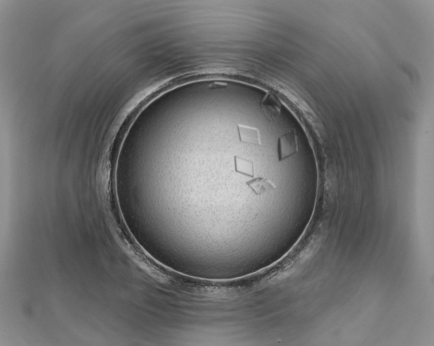 X0000112480933200908241251
