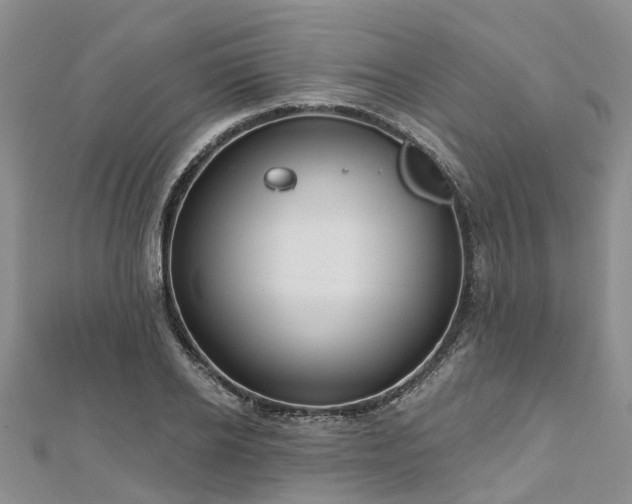 X0000112480934200908241251