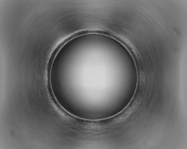 X0000112480935200908241251