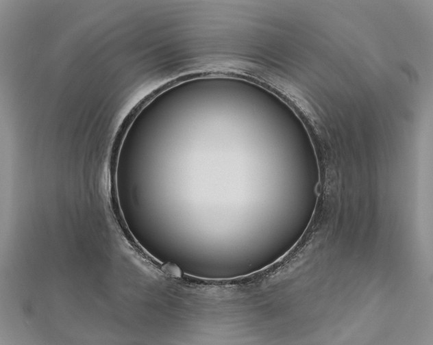 X0000112480936200908241251