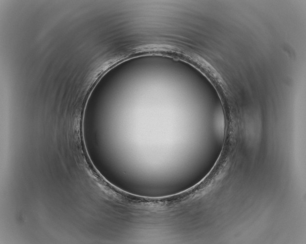 X0000112480937200908241251