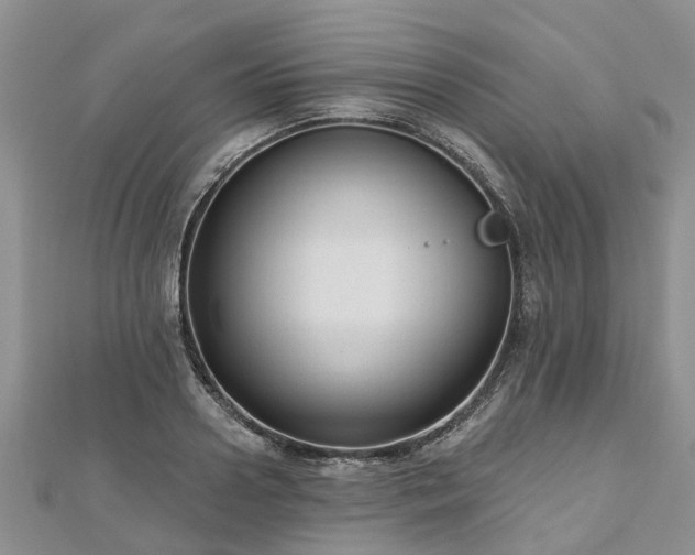 X0000112480938200908241251