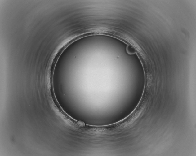 X0000112480939200908241251