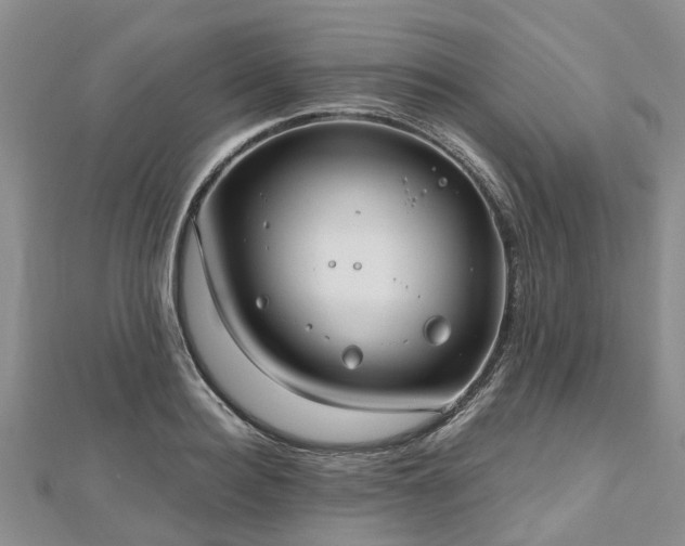X0000112480940200908241251