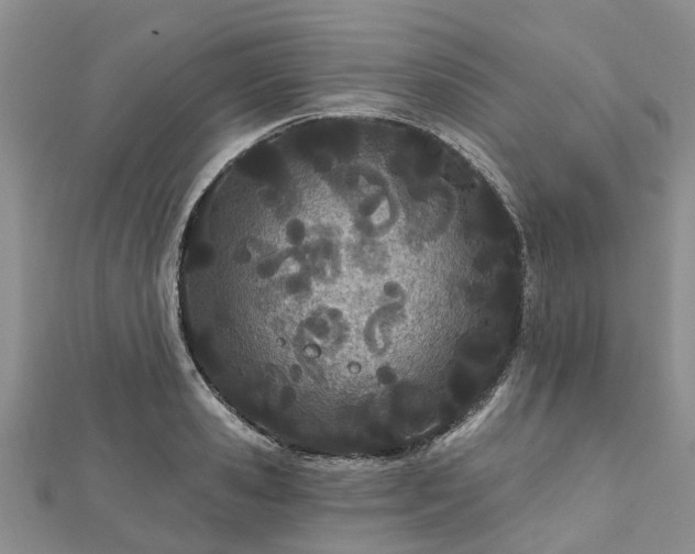 X0000112480941200908241251
