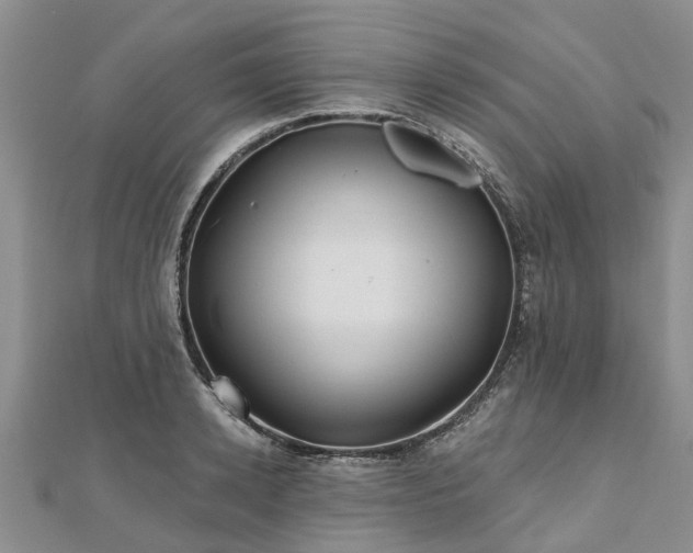 X0000112480942200908241251
