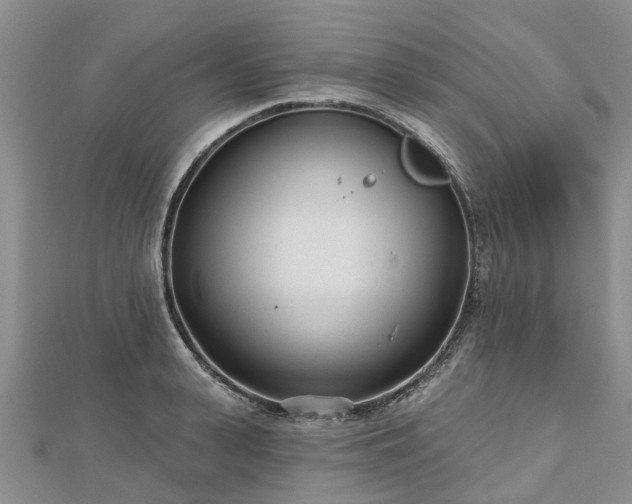 X0000112480943200908241251