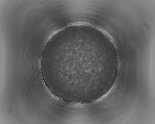 X0000112480945200908241252