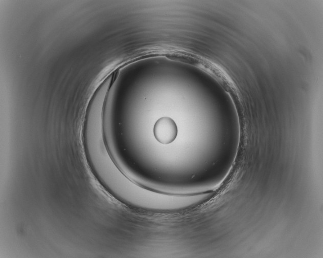 X0000112480946200908241252