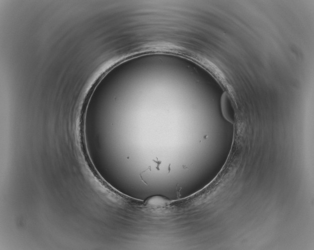 X0000112480947200908241252