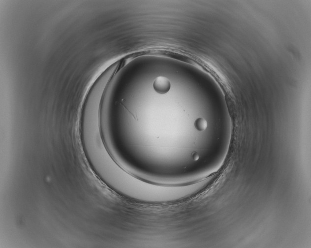 X0000112480948200908241252