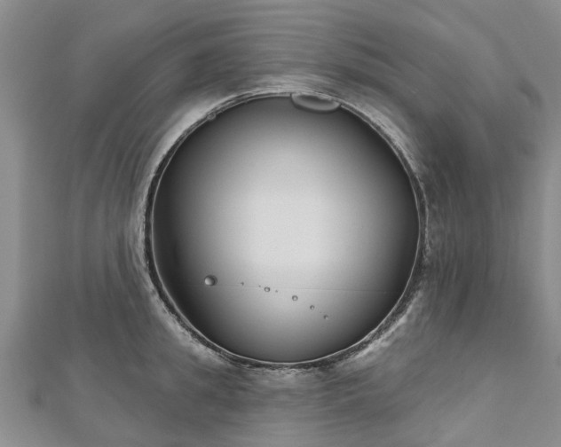 X0000112480949200908241252