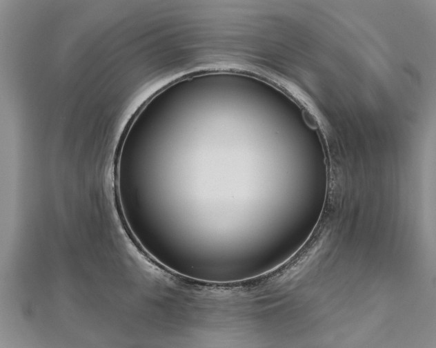X0000112480951200908241252