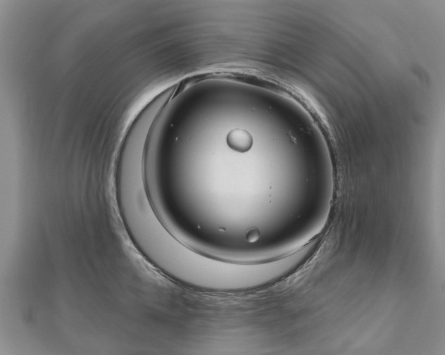 X0000112480952200908241252