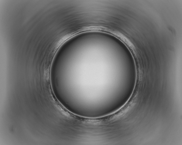 X0000112480953200908241252