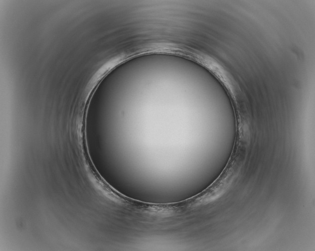 X0000112480954200908241252