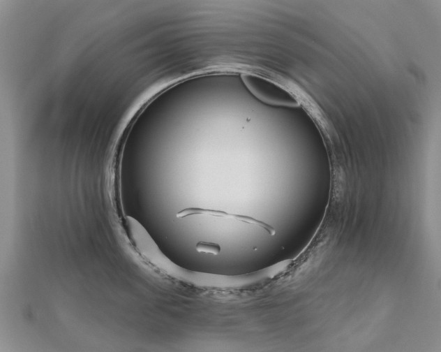 X0000112480955200908241252