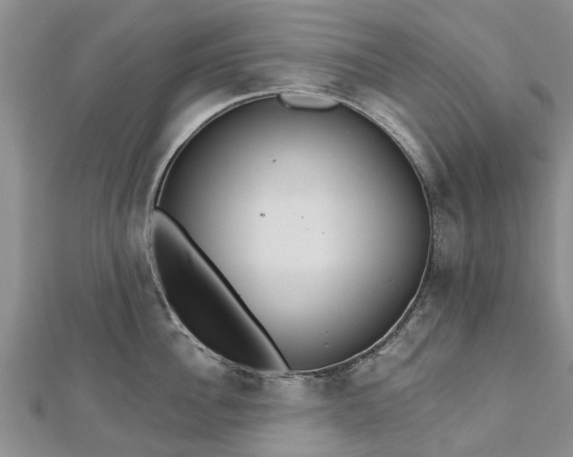 X0000112480956200908241252