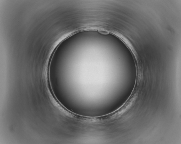 X0000112480957200908241252
