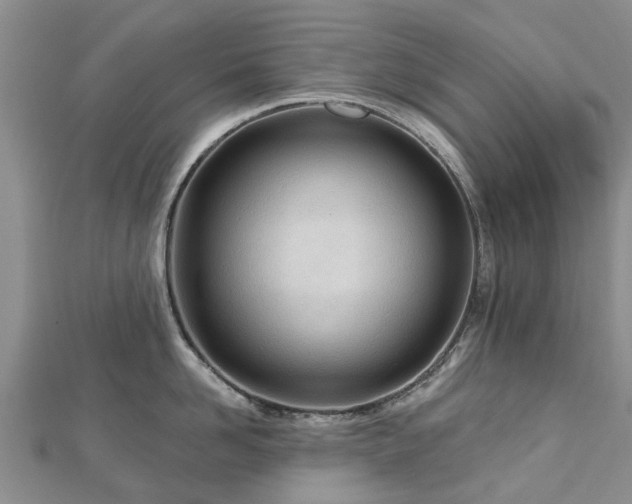 X0000112480958200908241252