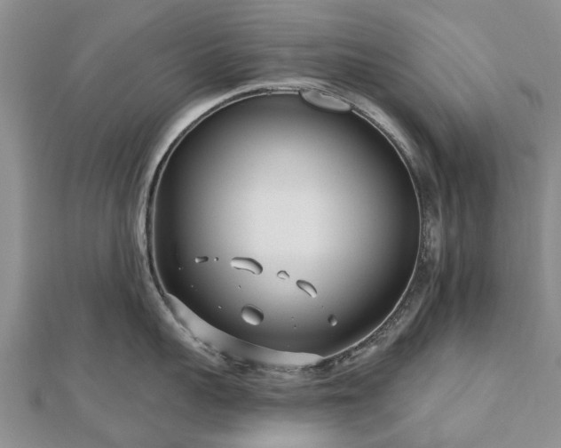 X0000112480959200908241252