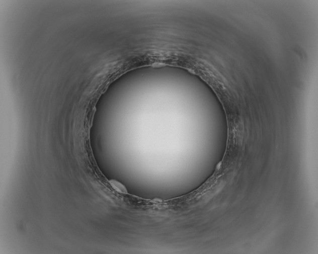 X0000112480961200908241251