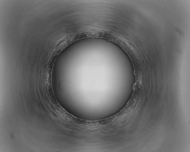 X0000112480964200908241251