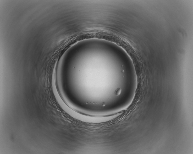 X0000112480965200908241251