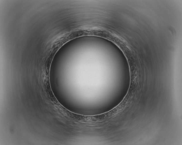 X0000112480966200908241251