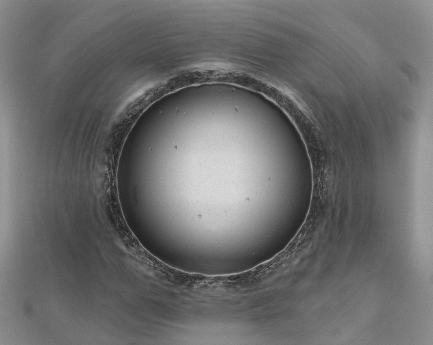 X0000112480967200908241251